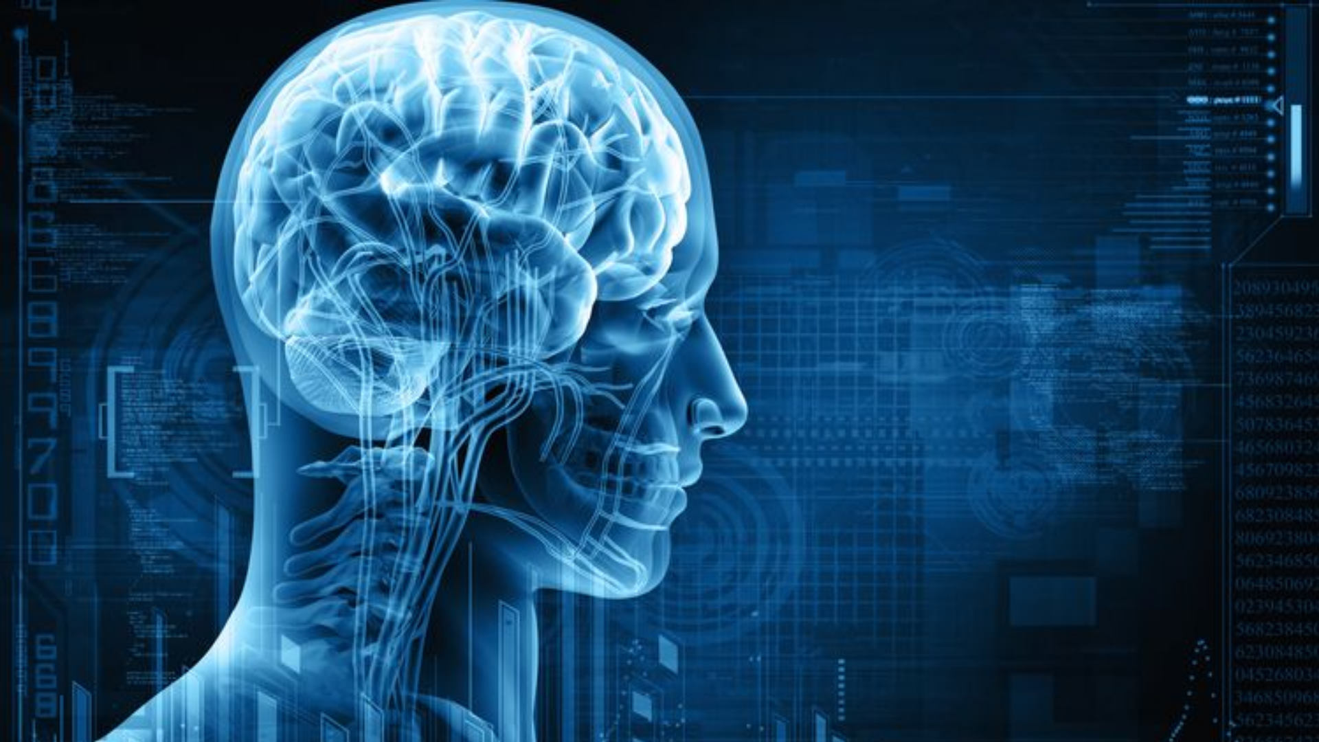 Je brein is niet de geest